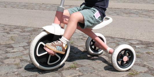 Our very first tricycle - Ziggi