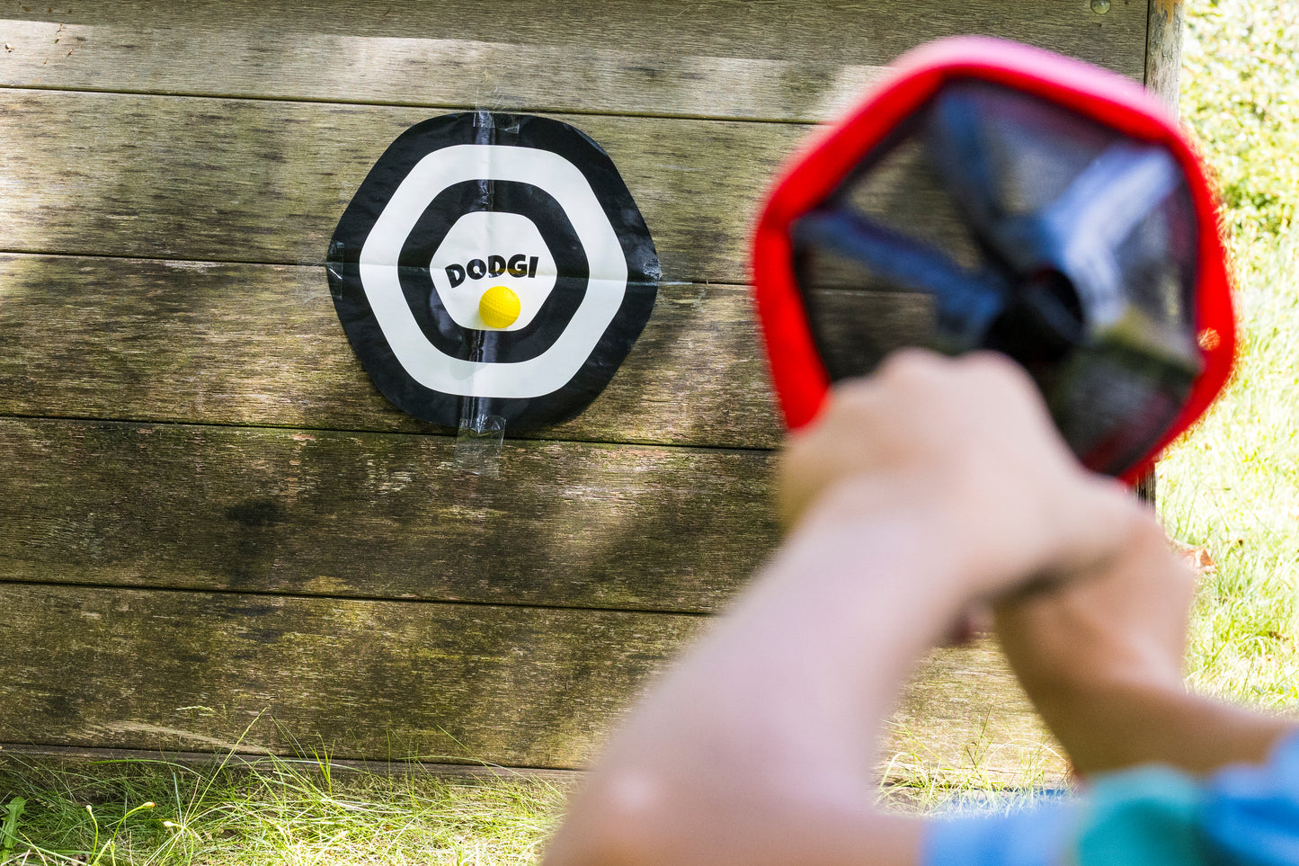 Dodgi shoot-and-catch game