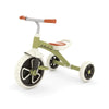 Ziggi 12 inch retro tricycle